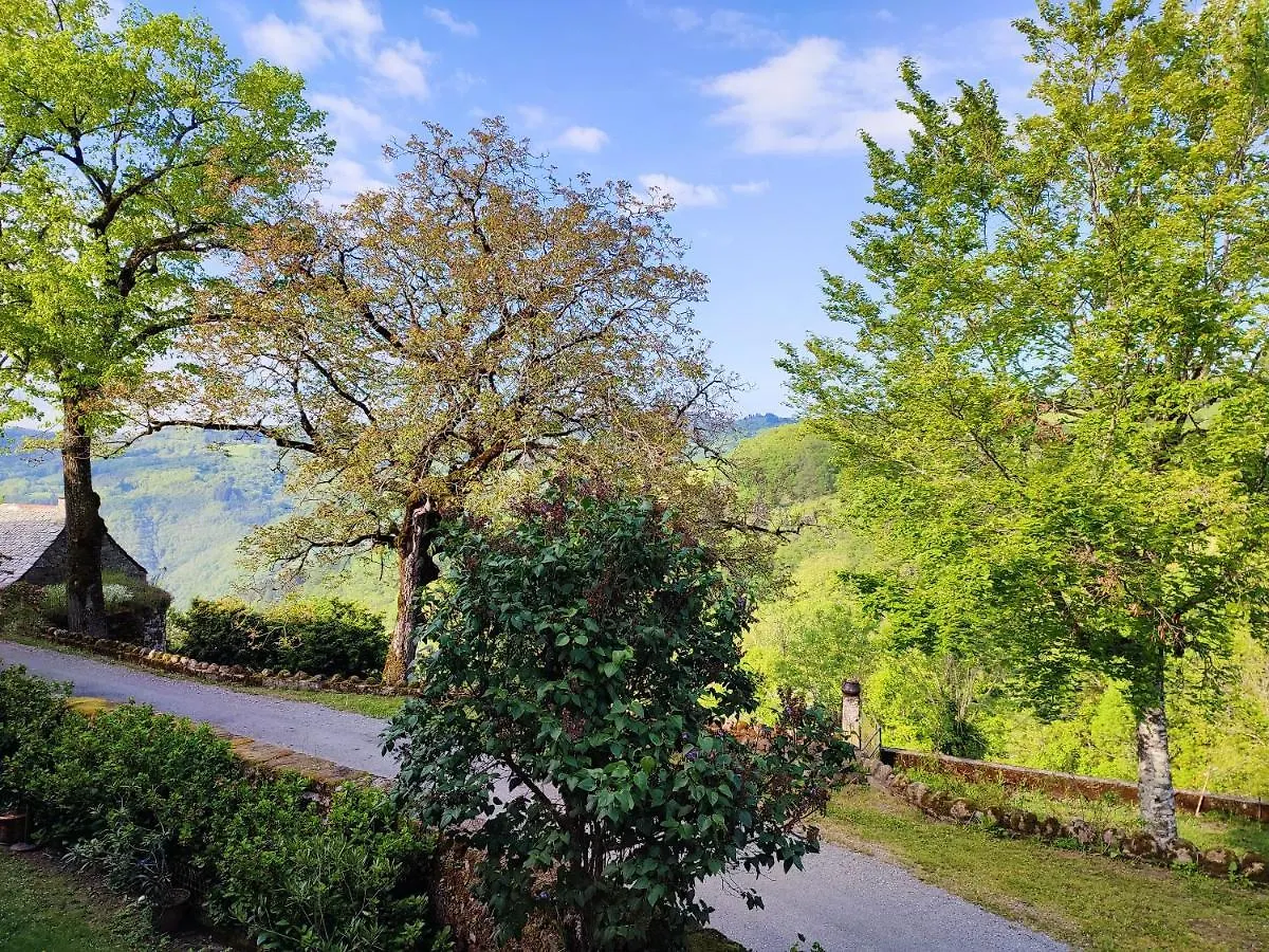 Maison Charmante A Florentin La Capelle Avec Jardin Et Vue Montagne Florentin-la-Capelle