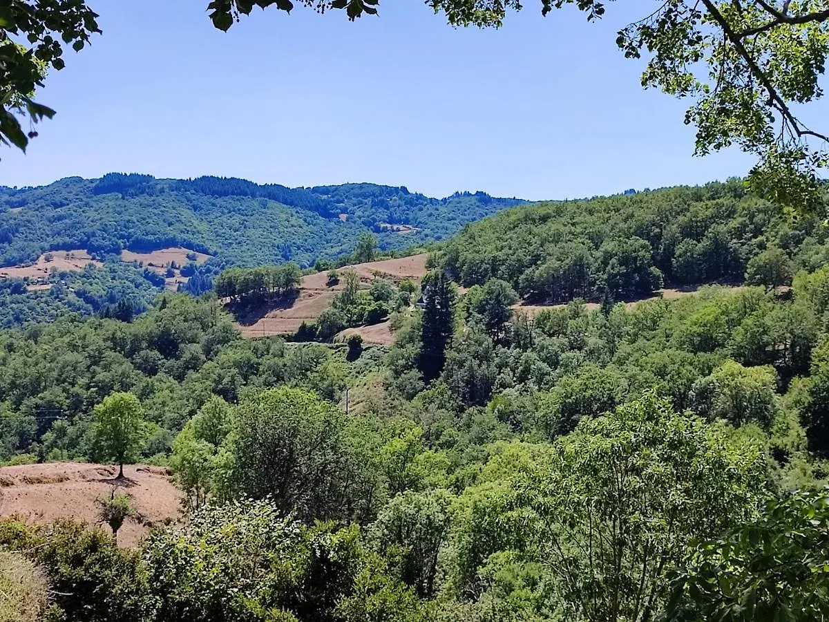 בית נופש Maison Charmante A Florentin La Capelle Avec Jardin Et Vue Montagne